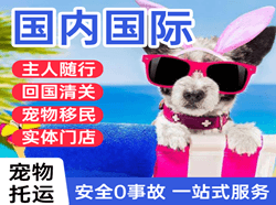 太原空运国际宠物托运 【国